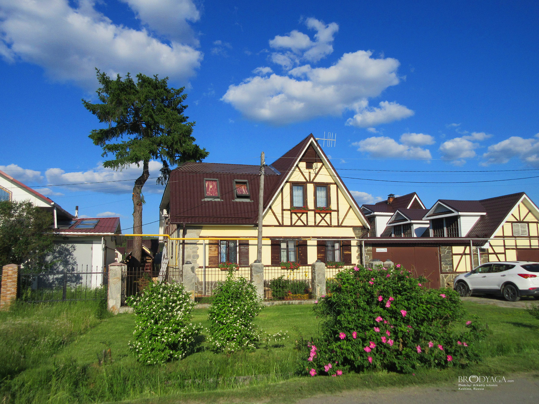 Kashino (Кашино)